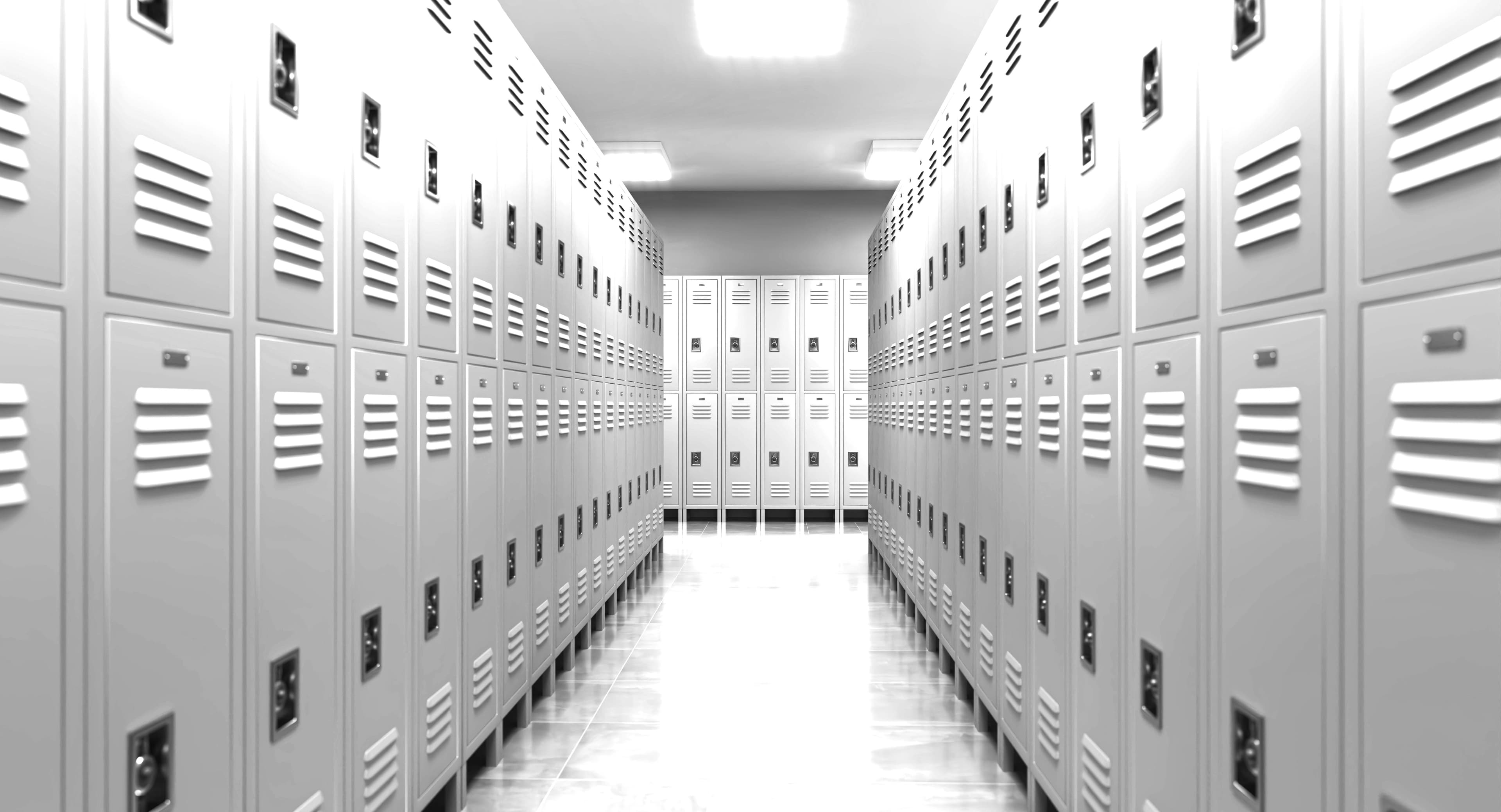 Commercial lockers and storage